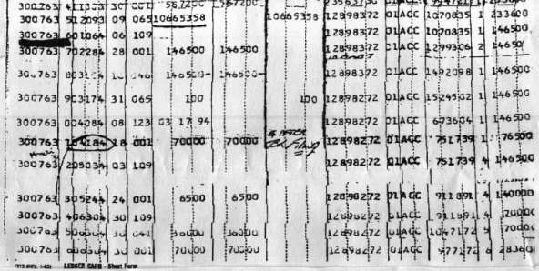 Transamerica Accounting page 2